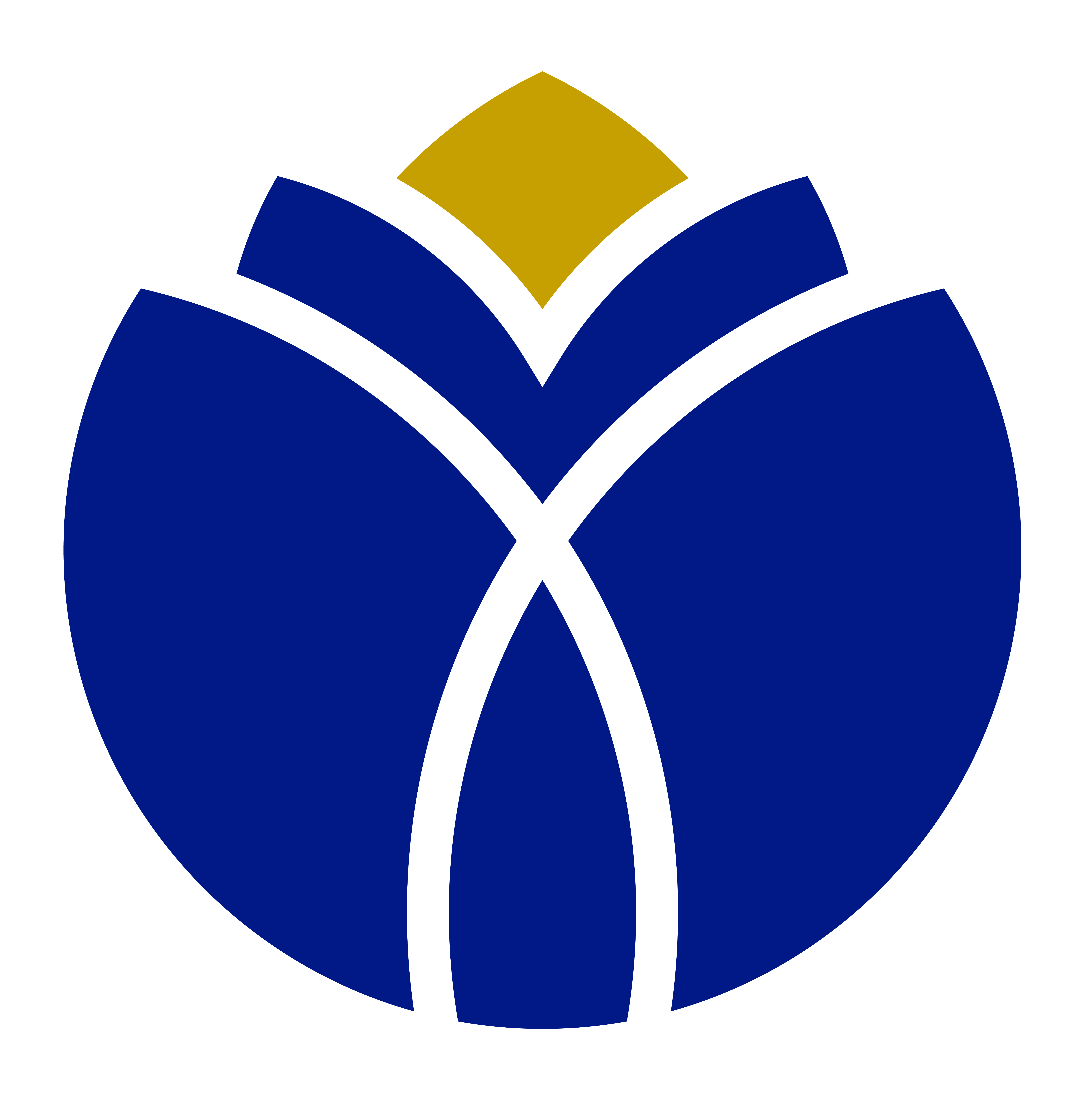Logo BAUK